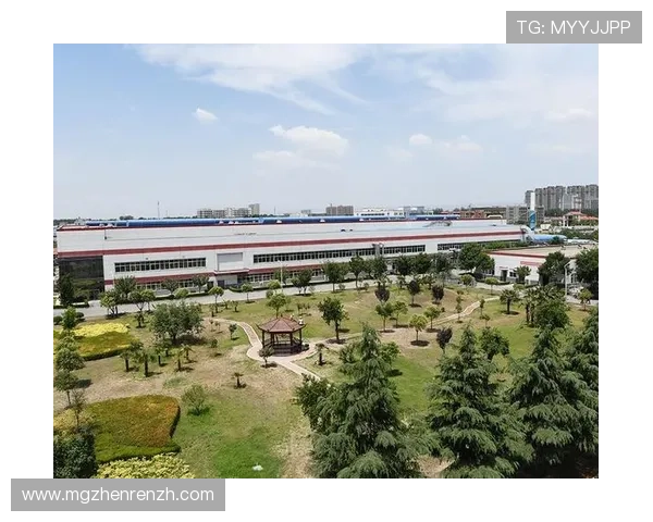 选择K8凯发备用网址，体验专业的技术支持与优质的客户服务体系