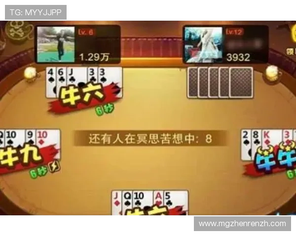 百家乐游戏规则全景介绍帮助新手快速理解百家乐游戏的规则与基本操作